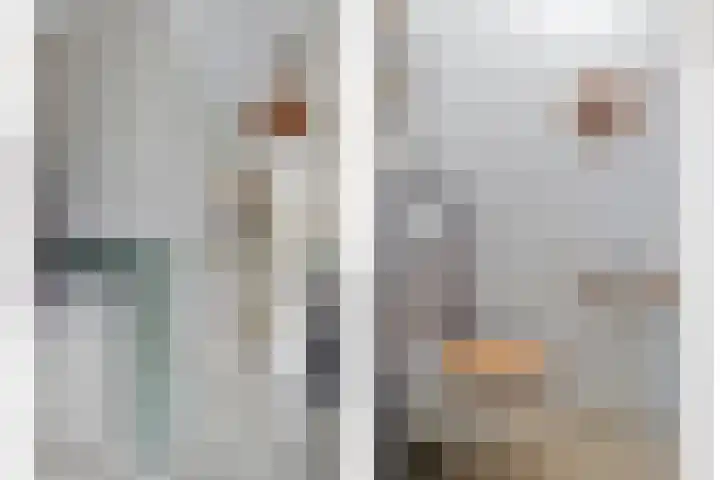 Meidoornlaan 151 Dieren thumbnail 12