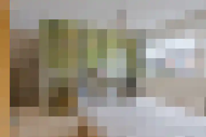 Meidoornlaan 151 Dieren thumbnail 14