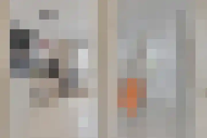 Meidoornlaan 151 Dieren thumbnail 19