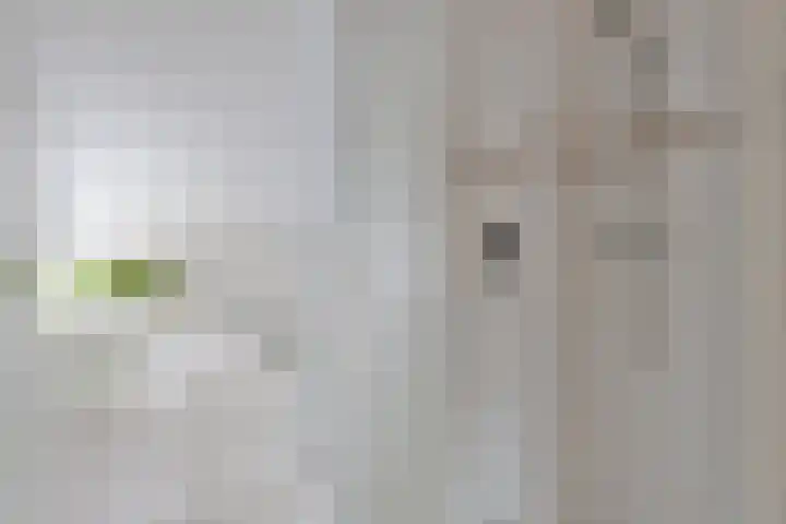 Meidoornlaan 151 Dieren thumbnail 21