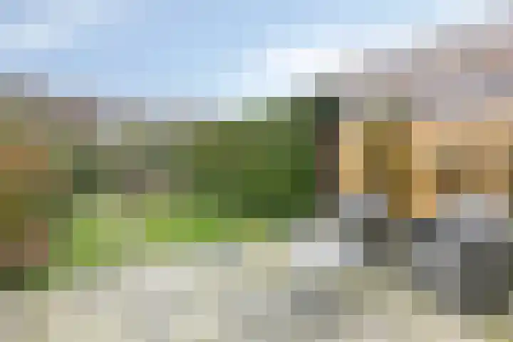 Meidoornlaan 151 Dieren thumbnail 28