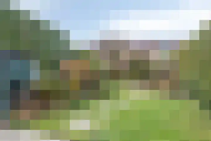 Meidoornlaan 151 Dieren thumbnail 29