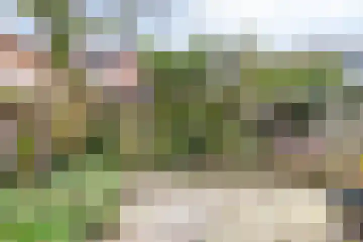 Meidoornlaan 151 Dieren thumbnail 30