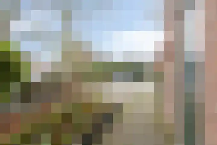Meidoornlaan 151 Dieren thumbnail 34