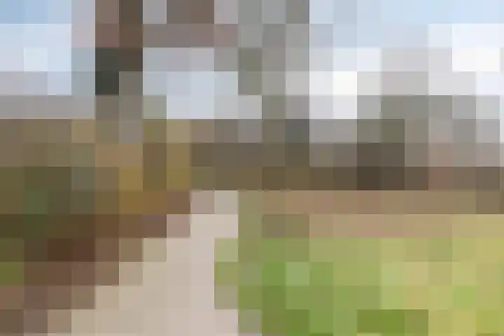 Meidoornlaan 151 Dieren thumbnail 36