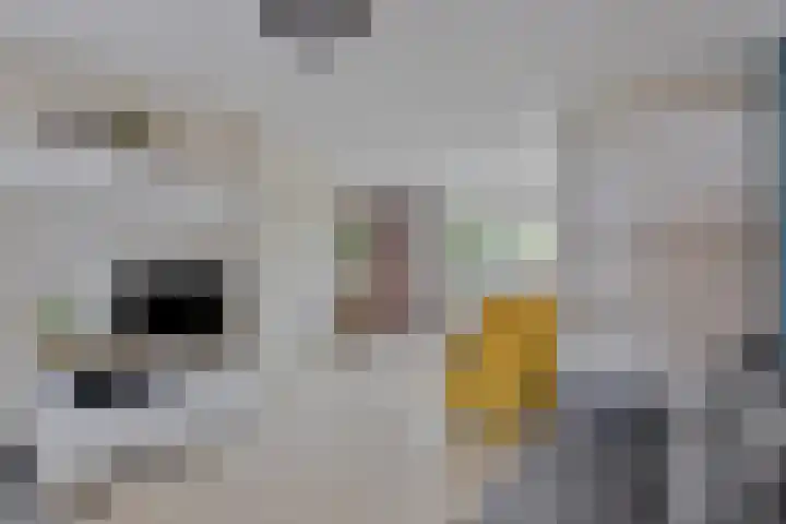 Meidoornlaan 151 Dieren thumbnail 5