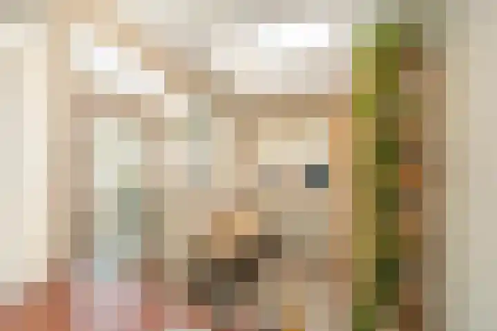 Meidoornlaan 16 Linschoten thumbnail 18