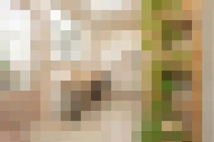 Meidoornlaan 16 Linschoten thumbnail 19
