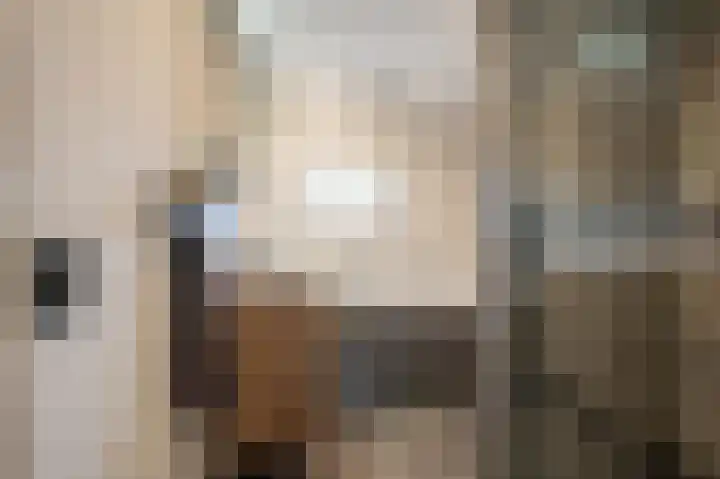 Meidoornlaan 16 Linschoten thumbnail 23