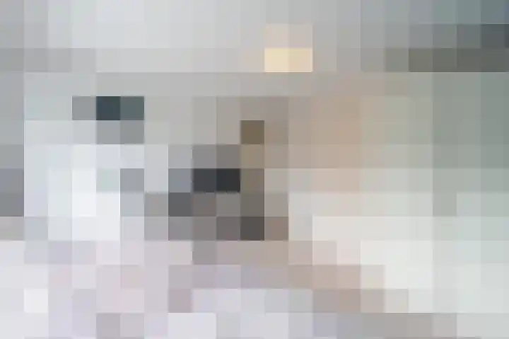 Meidoornlaan 16 Linschoten thumbnail 28