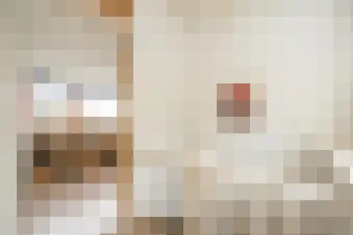 Meidoornlaan 16 Linschoten thumbnail 31