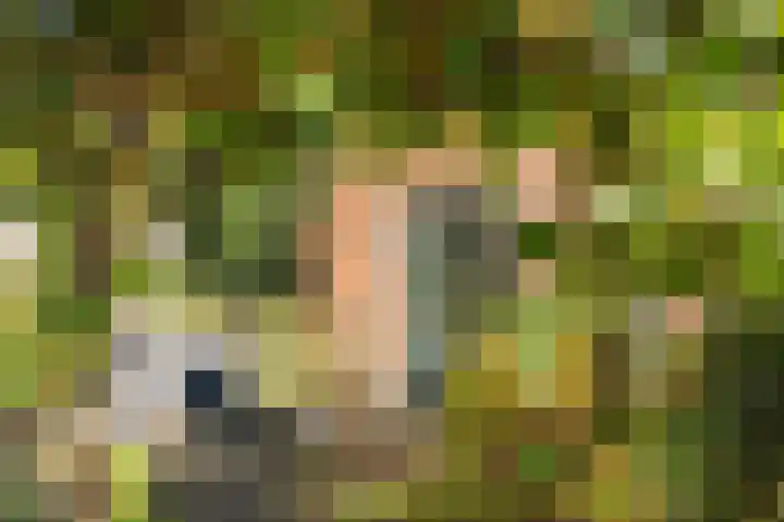 Meidoornlaan 16 Linschoten thumbnail 42