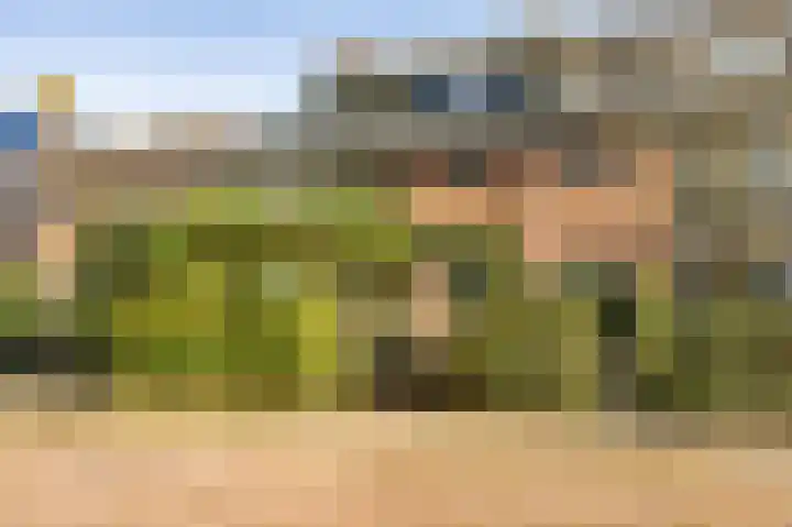 Meidoornlaan 16 Linschoten thumbnail 43