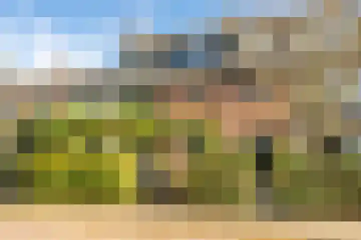 Meidoornlaan 16 Linschoten thumbnail 44