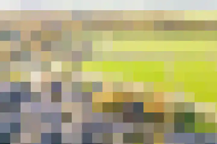 Meidoornlaan 16 Linschoten thumbnail 46