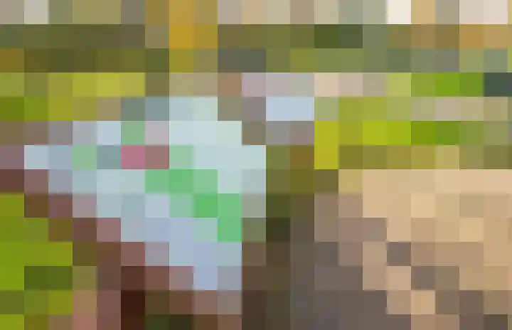 Meidoornlaan 16 Linschoten thumbnail 47