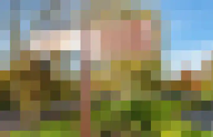 Meidoornlaan 16 Linschoten thumbnail 48