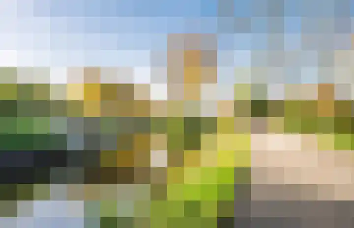 Meidoornlaan 16 Linschoten thumbnail 49