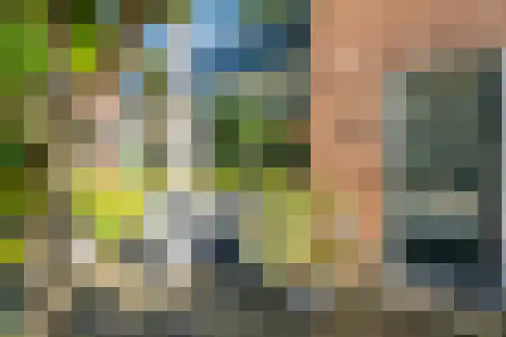 Meidoornlaan 16 Linschoten thumbnail 5