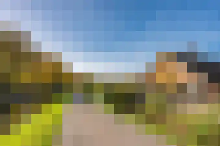 Meidoornlaan 16 Linschoten thumbnail 50