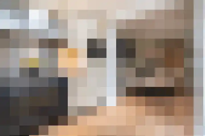 Meidoornlaan 16 Vuren thumbnail 15
