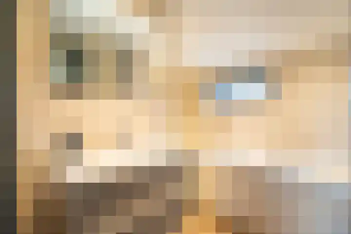 Meidoornlaan 16 Vuren thumbnail 31
