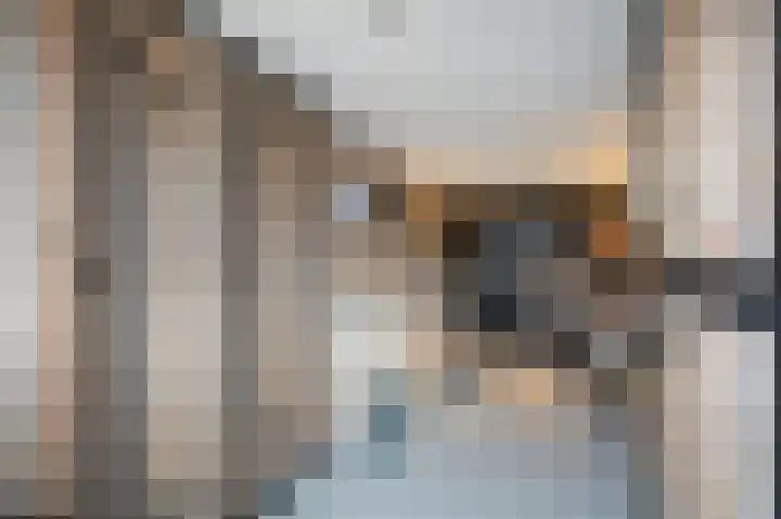 Meidoornlaan 16 Vuren thumbnail 42