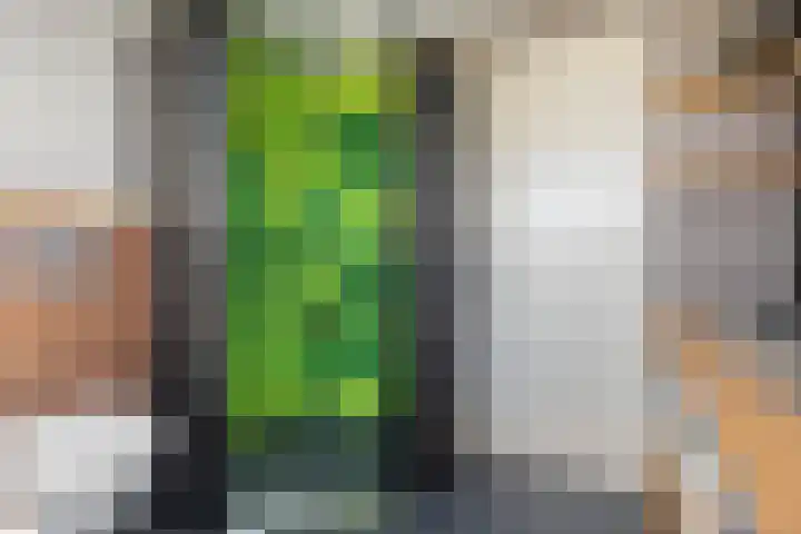 Meidoornlaan 17 Egmond-Binnen thumbnail 31