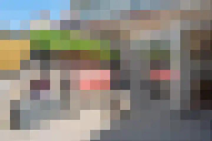 Meidoornlaan 17 Egmond-Binnen thumbnail 36
