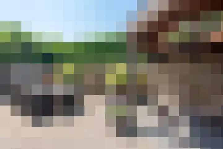 Meidoornlaan 17 Egmond-Binnen thumbnail 38