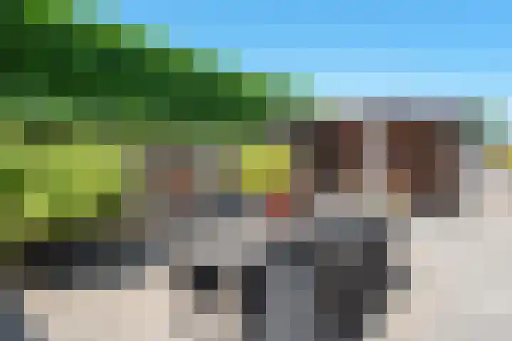 Meidoornlaan 17 Egmond-Binnen thumbnail 40