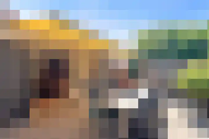Meidoornlaan 17 Egmond-Binnen thumbnail 42