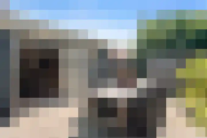 Meidoornlaan 17 Egmond-Binnen thumbnail 43