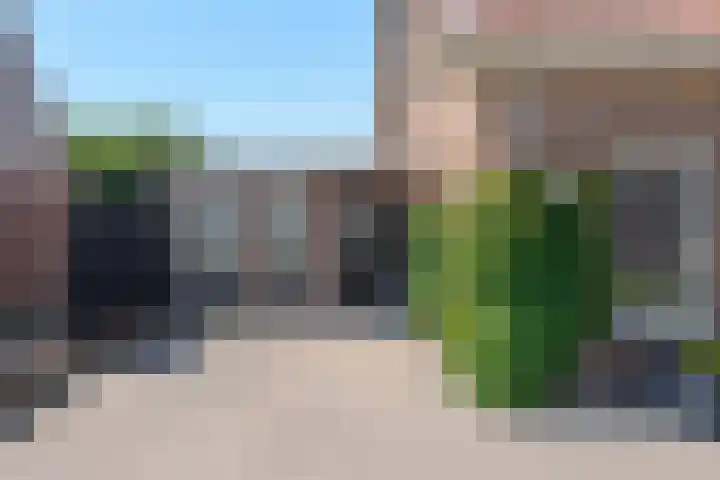 Meidoornlaan 17 Egmond-Binnen thumbnail 45