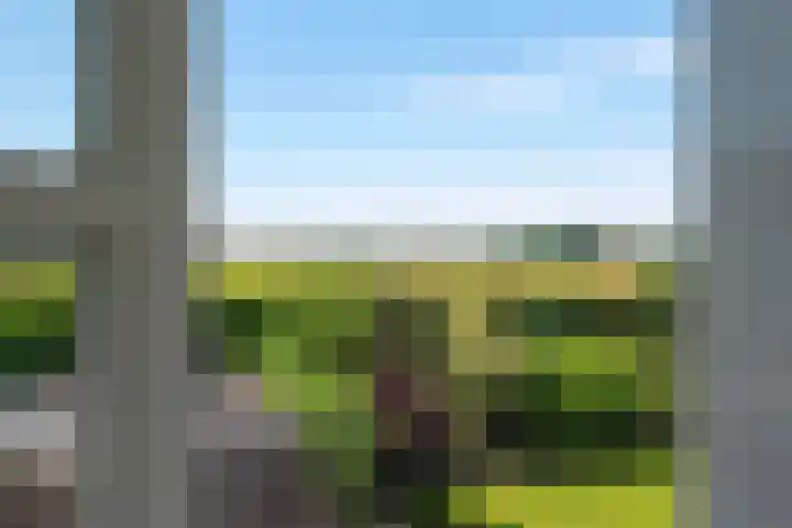 Meidoornlaan 17 Egmond-Binnen thumbnail 46