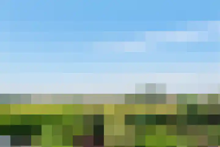 Meidoornlaan 17 Egmond-Binnen thumbnail 47