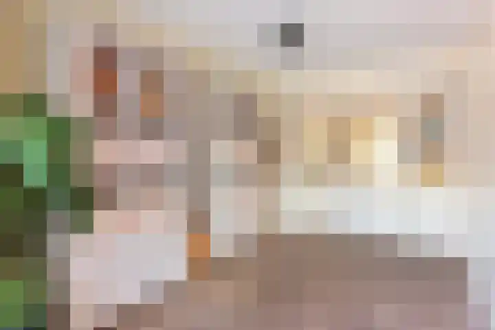 Meidoornlaan 17 Egmond-Binnen thumbnail 6