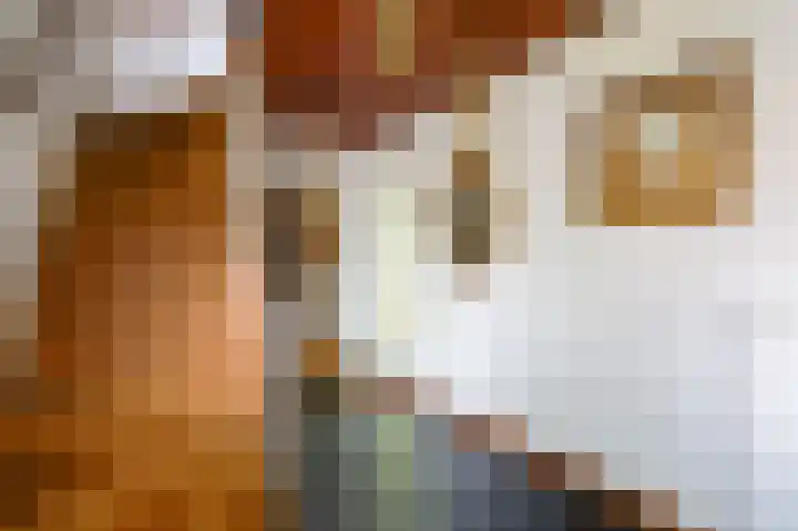 Meidoornlaan 17 Limmen thumbnail 10