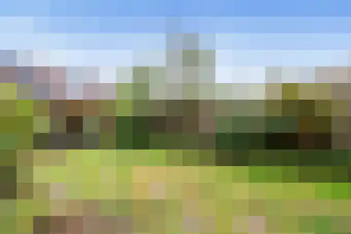 Meidoornlaan 17 Limmen thumbnail 26