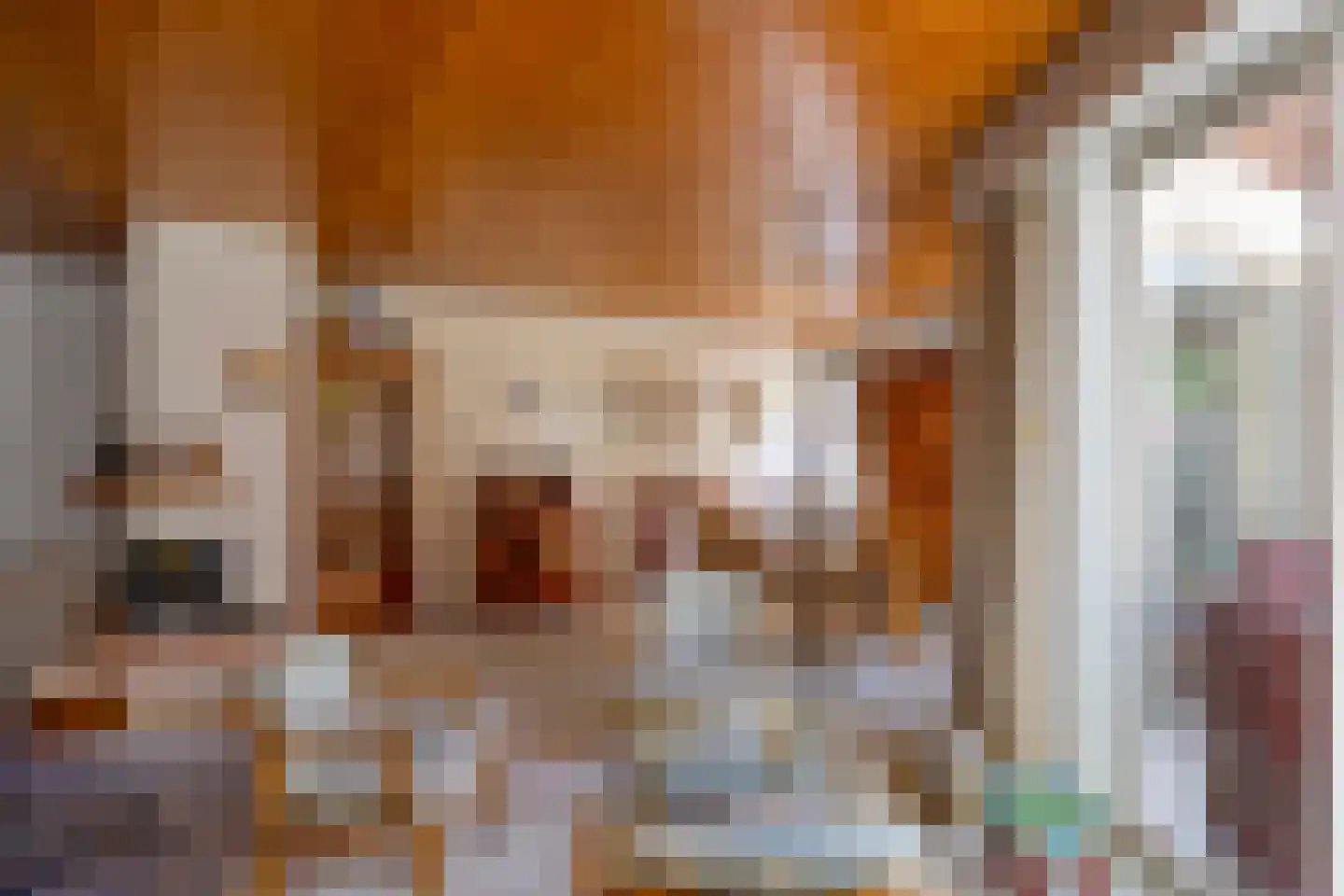 Meidoornlaan 17 Roosendaal thumbnail 34