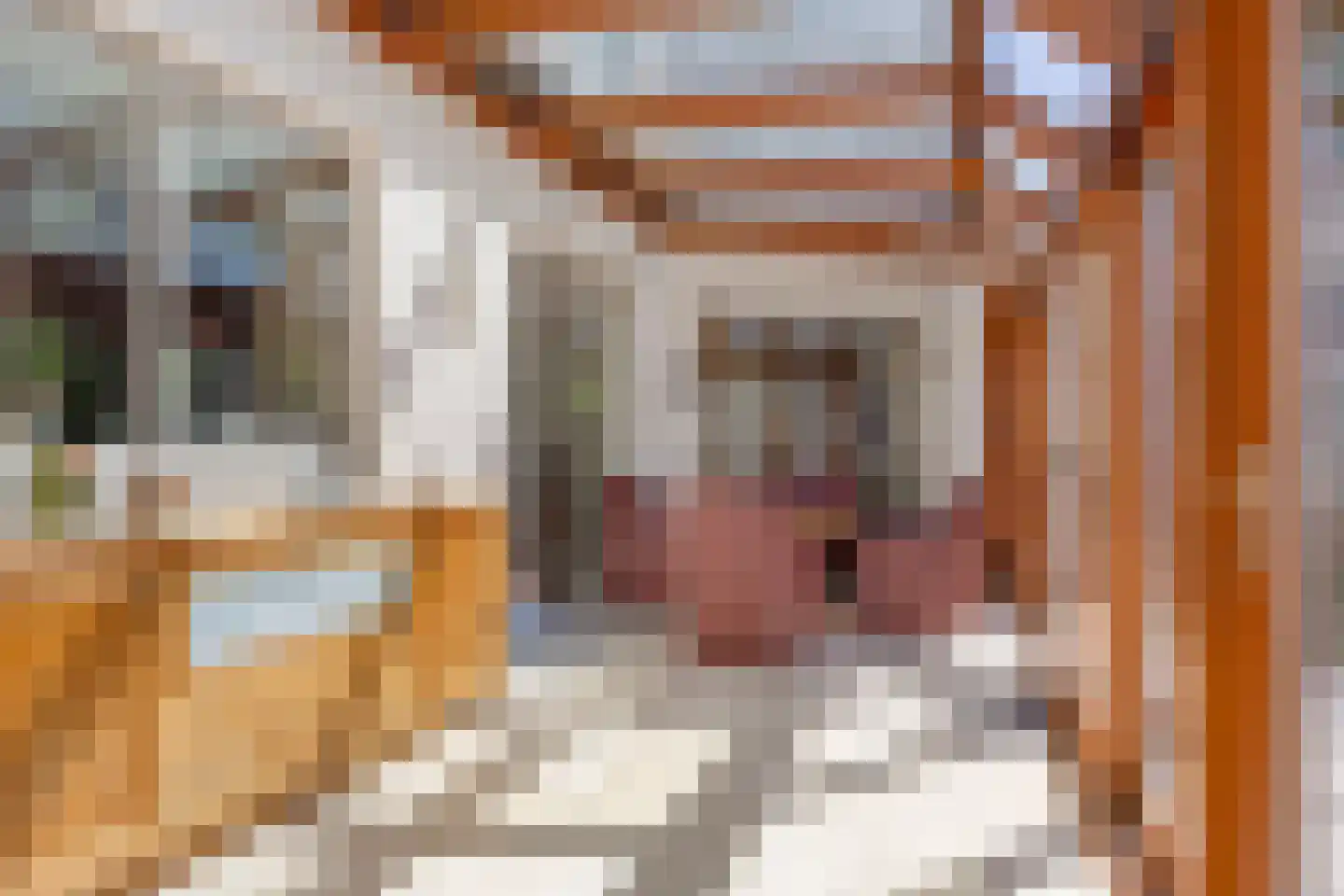 Meidoornlaan 17 Roosendaal thumbnail 36