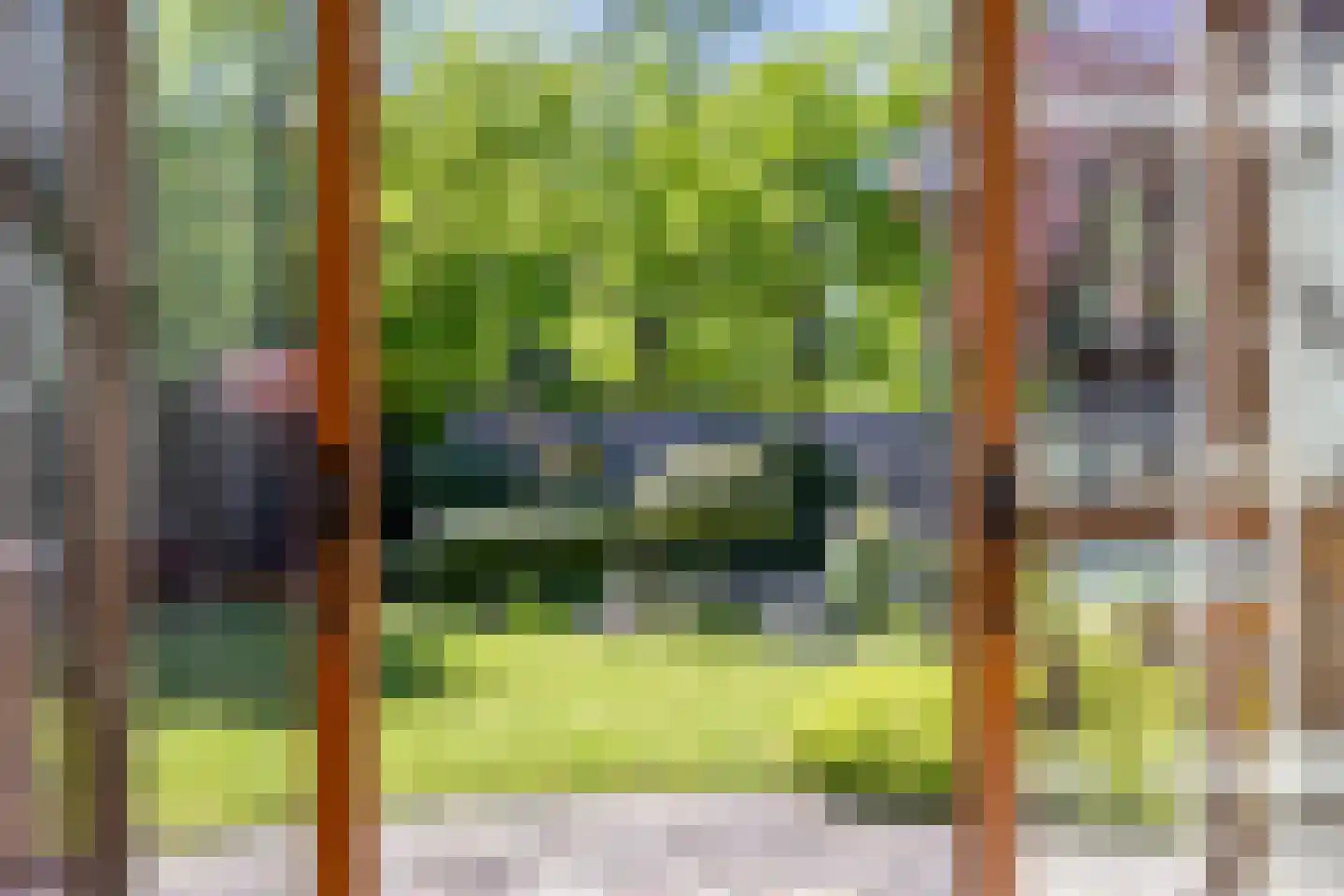 Meidoornlaan 17 Roosendaal thumbnail 38