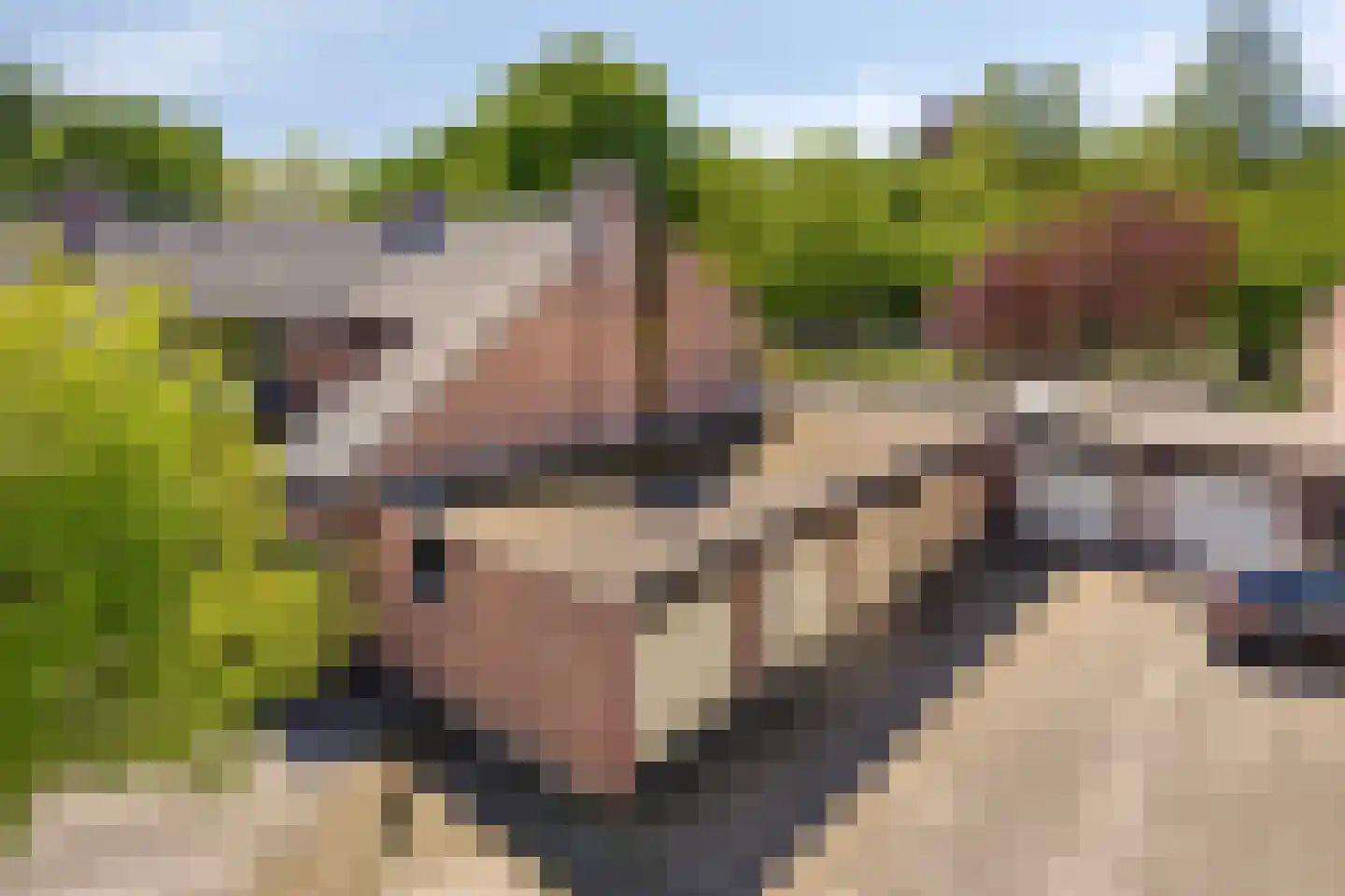 Meidoornlaan 17 Roosendaal thumbnail 4