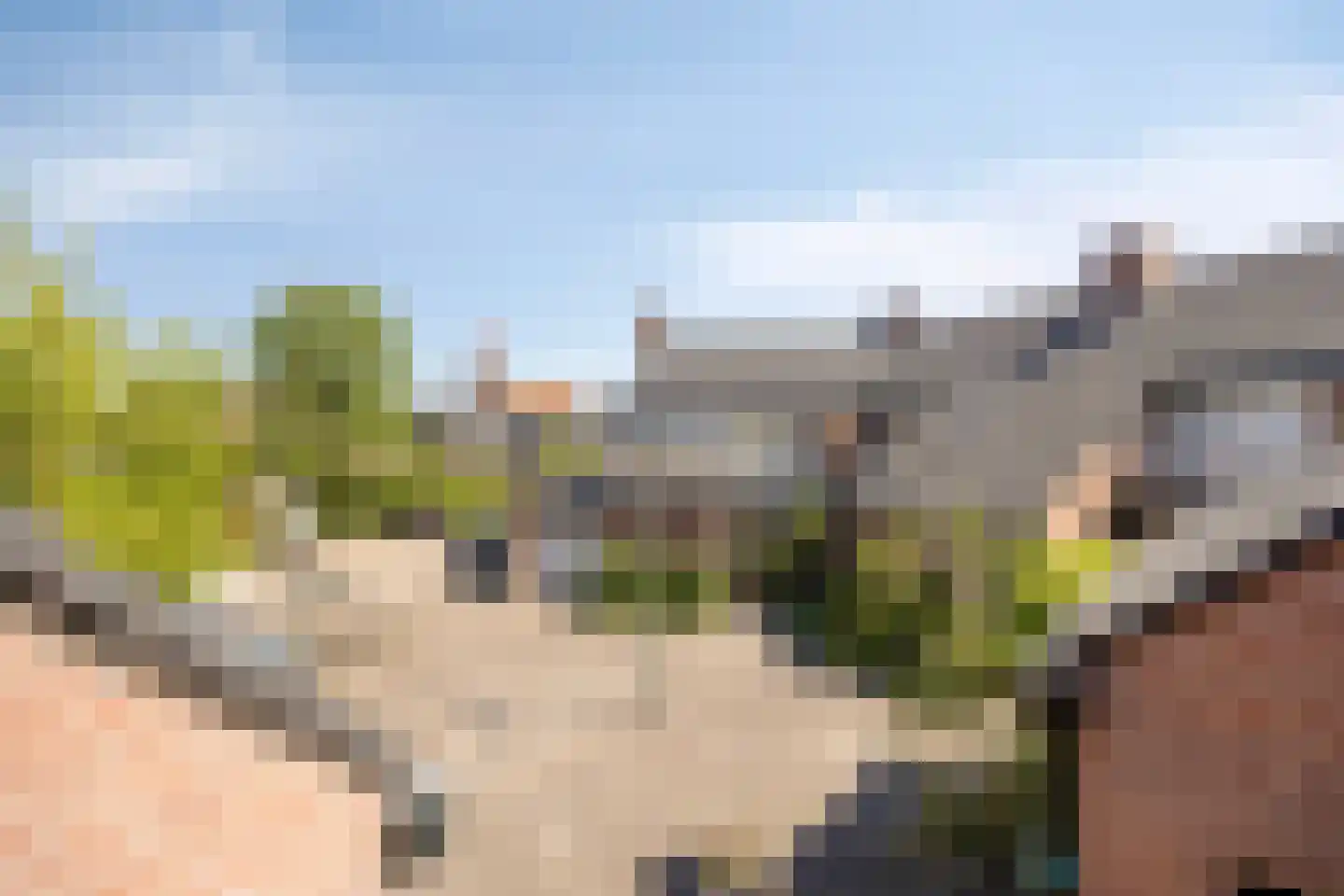 Meidoornlaan 17 Roosendaal thumbnail 49