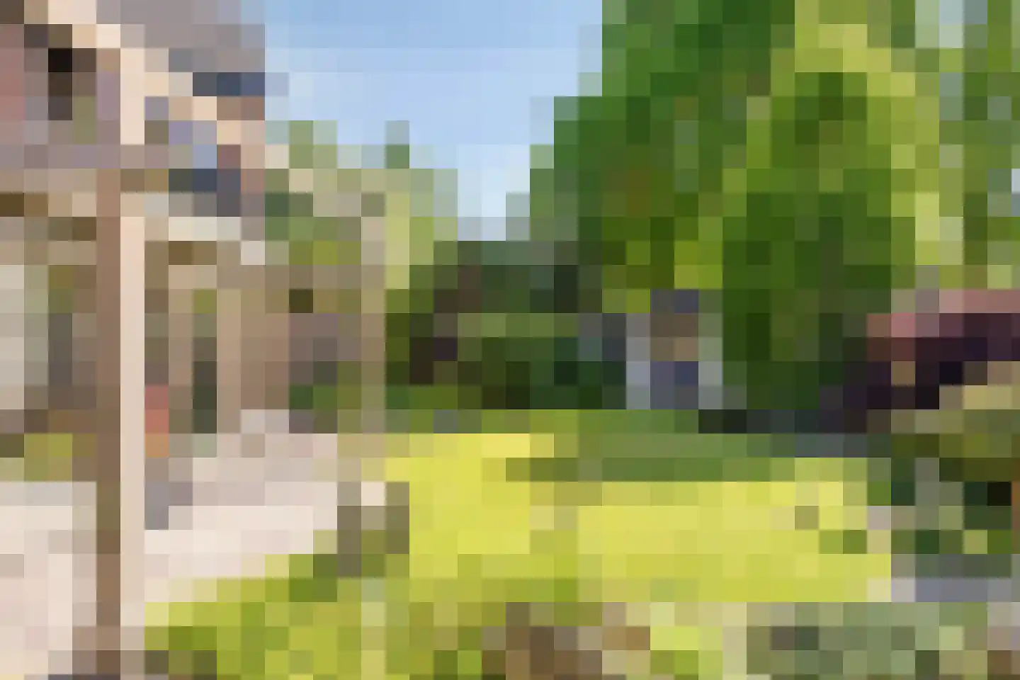 Meidoornlaan 17 Roosendaal thumbnail 69