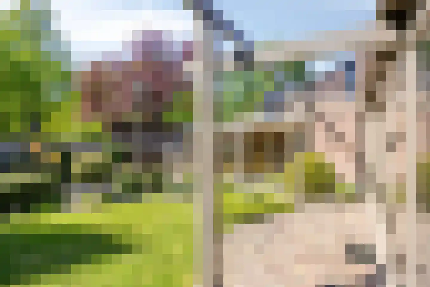 Meidoornlaan 17 Roosendaal thumbnail 70