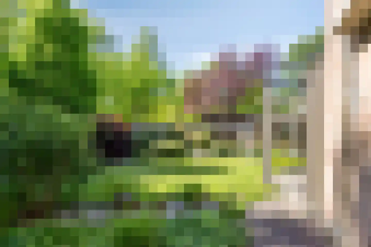 Meidoornlaan 17 Roosendaal thumbnail 71