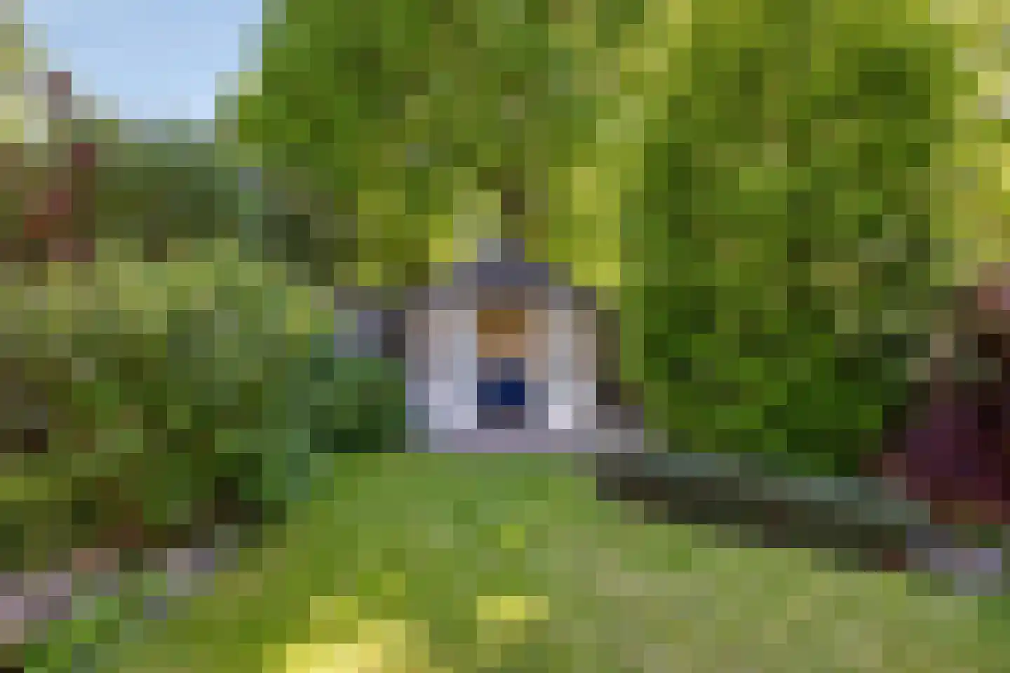 Meidoornlaan 17 Roosendaal thumbnail 74