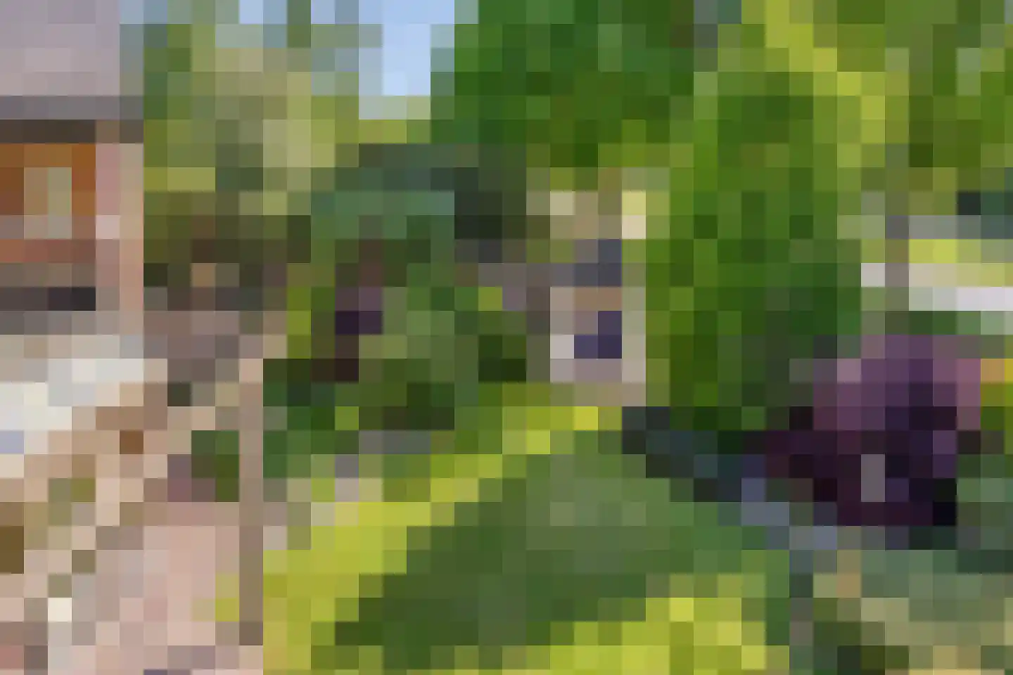 Meidoornlaan 17 Roosendaal thumbnail 88