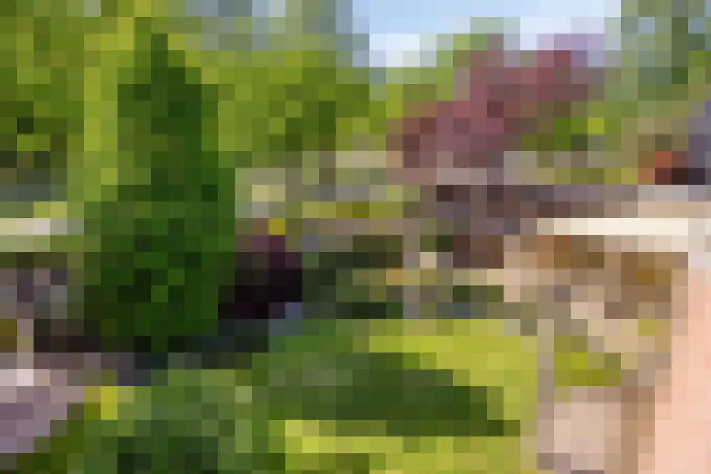 Meidoornlaan 17 Roosendaal thumbnail 89